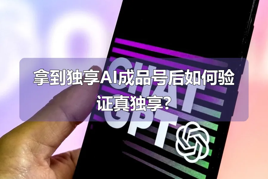拿到独享AI成品号后如何验证真独享?